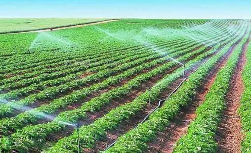 嗯啊~好爽啊视频农田高 效节水灌溉